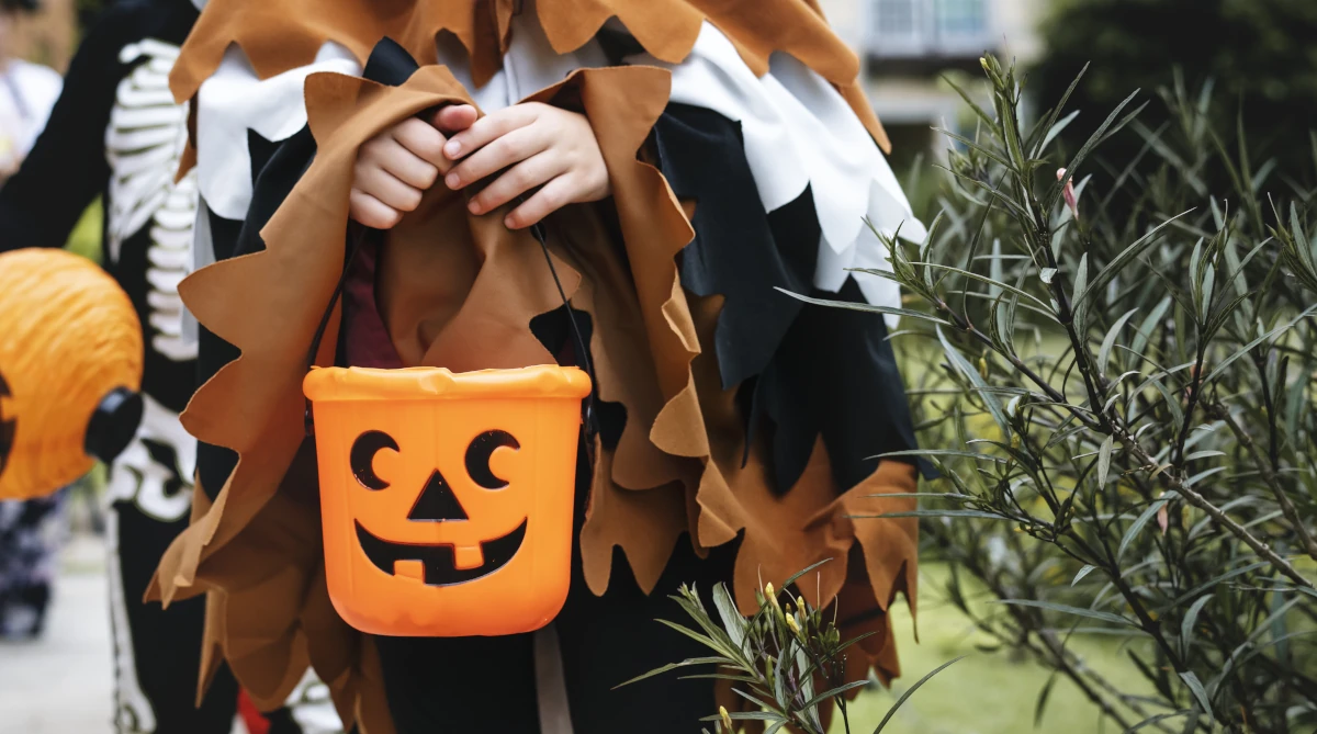 przebranie dla dorosłych na Halloween