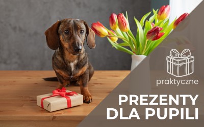 prezenty dla pupila