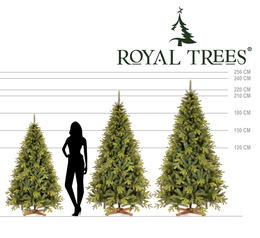 Choinka sztuczna 180 cm Premium Royal Trees świerk syberyjski z drewnianym stojakiem