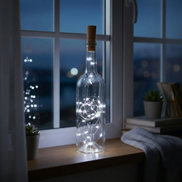 Lampki choinkowe 20 LED biały zimny
