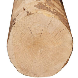 Drewniany słupek ogrodzeniowy, kołek leszczynowy 100 cm podpora do roślin ogrodowych, brązowy