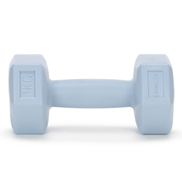 Ciężarki 2x1kg hexagonalne do ćwiczeń fitness hantle zestaw 2 szt. jasno niebieskie