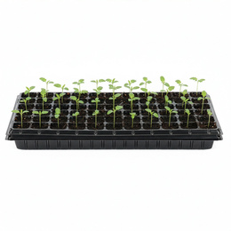 Wielodoniczka z tacką 54x28 cm minidoniczki do wysiewu 66szt. rozsadnik, czarny