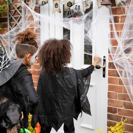 Dekoracja na Halloween pajęczyna z 2 pająkami 60g ozdoba sieć pajęcza 3,5 m