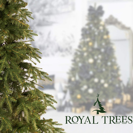 Choinka sztuczna 240 cm świerk himalajski jak żywy PE Royal Trees premium drzewko świąteczne