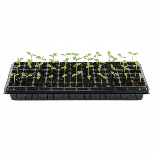 Wielodoniczka z tacką 54x28 cm minidoniczki do wysiewu 66szt. rozsadnik, czarny