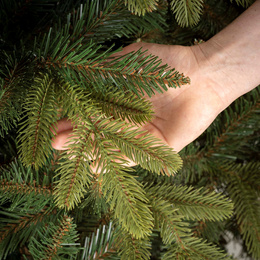Choinka sztuczna 180 cm Premium Royal Trees świerk syberyjski z drewnianym stojakiem