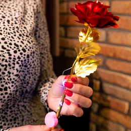 Wieczna róża 25 cm świecąca ozdoba LED prezent kwiat czerwony