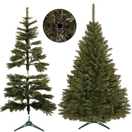 Choinka sztuczna 200 cm świerk kaukaski