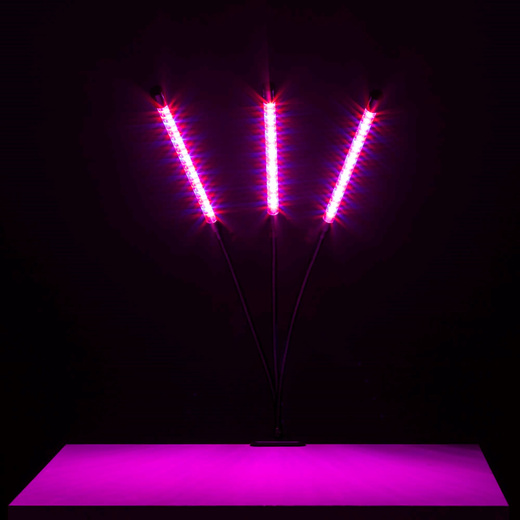 Lampa do doświetlania roślin LED do wzrostu uprawy 3 panele z timerem i klipsem, usb