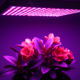 Lampa do doświetlania roślin 225 LED wiszący panel do wzrostu uprawy warzyw sadzonek 36 W