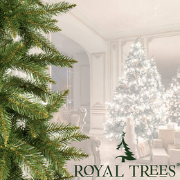 Choinka sztuczna 180 cm Premium Royal Trees świerk kaukaski z drewnianym stojakiem