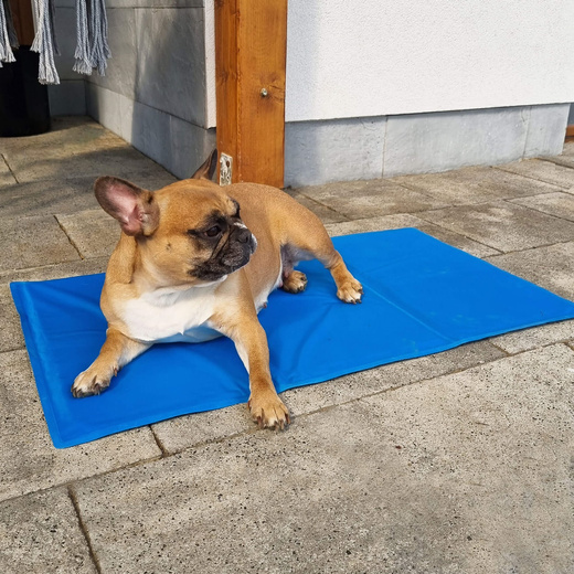 Mata chłodząca żelowa dla psa 90x50 cm legowisko chłodzące dla zwierząt