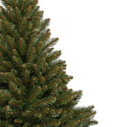 Choinka sztuczna premium 250 cm świerk kaukaski gęsta