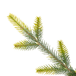 Choinka sztuczna na pniu 220 cm świerk naturalny ze stojakiem nowoczesny