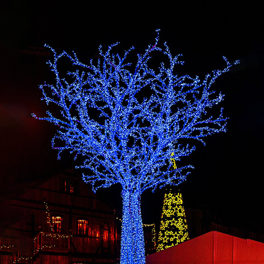 Lampki choinkowe 500 Led niebieski 41,5m oświetlenie świąteczne IP44