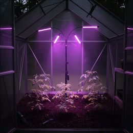 Lampa do doświetlania roślin LED do wzrostu uprawy 4 panele z timerem i pilotem, usb