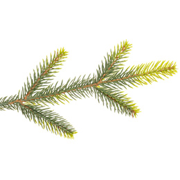 Choinka sztuczna 220 cm świerk naturalny z metalowym stojakiem