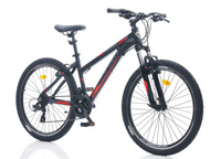 BIC0011