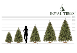 Choinka sztuczna 120 cm Premium Royal Trees świerk kaukaski jak żywy z drewnianym stojakiem