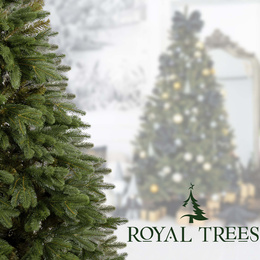 Choinka sztuczna 240 cm sosna zielona PE Royal Trees premium drzewko świąteczne jak żywe