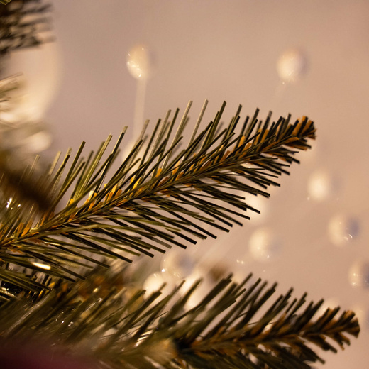 Choinka sztuczna 150 cm Premium Royal Trees świerk kaukaski z drewnianym stojakiem