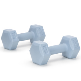 Ciężarki 2x1kg hexagonalne do ćwiczeń fitness hantle zestaw 2 szt. jasno niebieskie