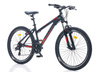 BIC0011