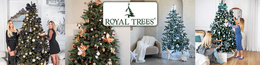 Choinka sztuczna 180 cm Premium Royal Trees świerk kaukaski z drewnianym stojakiem