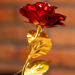 Wieczna róża 25 cm świecąca ozdoba LED prezent kwiat czerwony