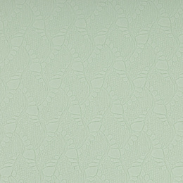 Mata do jogi, ćwiczeń fitness 183x61 cm antypoślizgowa, materac do stretchingu miętowy