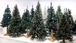 Choinka sztuczna premium 220 cm świerk kaukaski