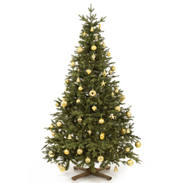 Choinka sztuczna 240 cm świerk himalajski jak żywy PE Royal Trees premium drzewko świąteczne