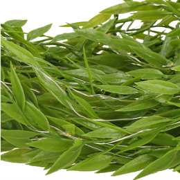 Girlanda led sztuczne liście ruskus dekoracja świetlna