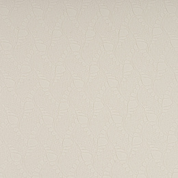 Mata do jogi, ćwiczeń fitness 183x61 cm antypoślizgowa, materac do stretchingu, jasny beż