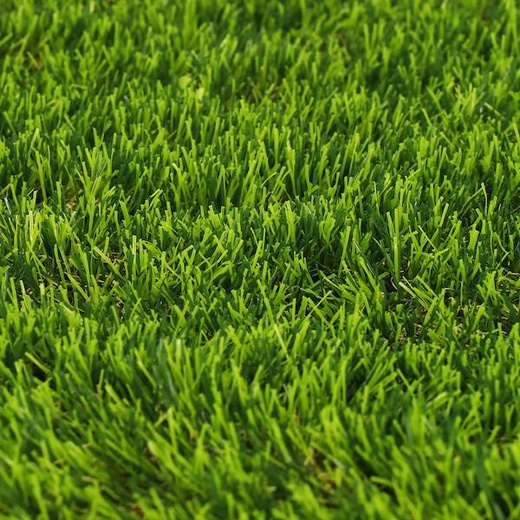 Sztuczna trawa 1x10 m na taras balkon miękka i gęsta 45 mm