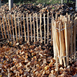 Płot leszczynowy 500x150 cm ogrodzenie drewniane palisada łupanka ogrodowa
