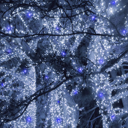 Lampki choinkowe 1000 Led biały zimny 81,5 m oświetlenie świąteczne IP44 niebieski flash