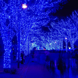 Lampki choinkowe 500 Led niebieski 41,5m oświetlenie świąteczne IP44