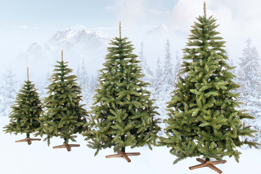 Choinka sztuczna 150 cm Premium Royal Trees świerk kaukaski z drewnianym stojakiem