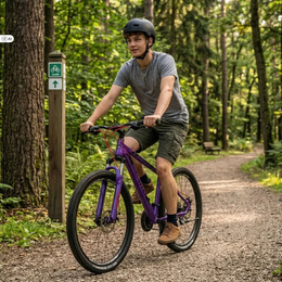 Rower górski TOPVELO DISCOVERY TREK DD FR 29" rama 19"