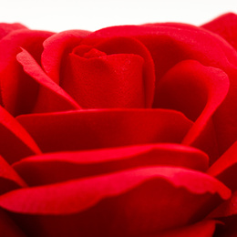 Wieczna róża z naszyjnikiem w pudełku prezentowym szkatułka na dzień kobiet walentynki