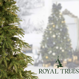 Choinka sztuczna 210 cm świerk himalajski jak żywy PE Royal Trees premium drzewko świąteczne