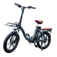 BIC0022