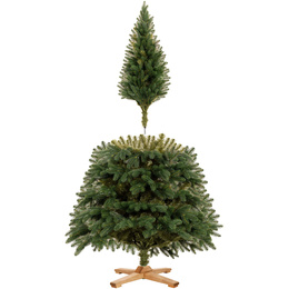 Choinka sztuczna 180 cm sosna zielona PE Royal Trees premium drzewko świąteczne jak żywe