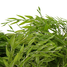 Girlanda led sztuczne liście ruskus dekoracja świetlna