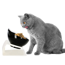 Podwójna miska dla psa i kota z podstawką antypoślizgowa przeźroczysta, czarna