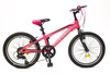 BIC0020