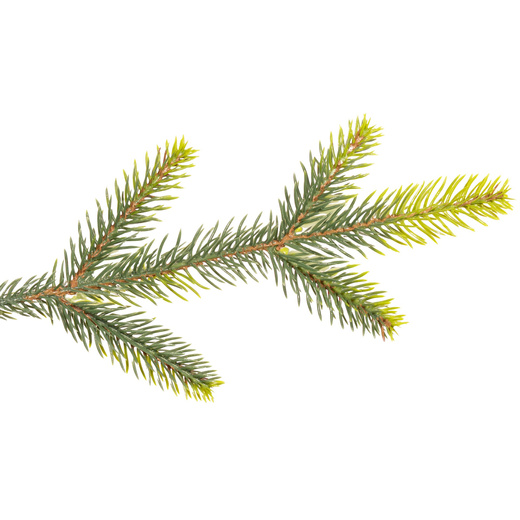 Choinka sztuczna 220 cm świerk naturalny z metalowym stojakiem