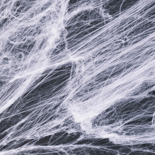Dekoracja na Halloween pajęczyna z 2 pająkami 20g ozdoba sieć pajęcza 1,9 m